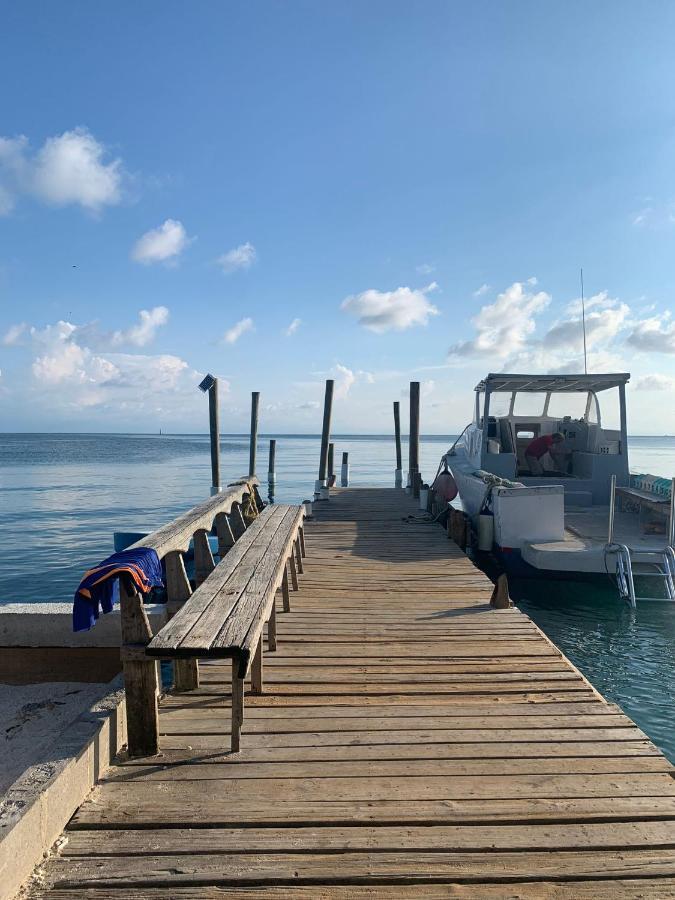 Paradise Divers Hotel Utila Εξωτερικό φωτογραφία